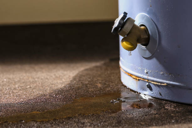Best Water damage contractors near me  in Mora, MN