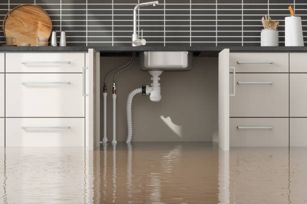 Best Sewage cleanup and water damage restoration  in Mora, MN