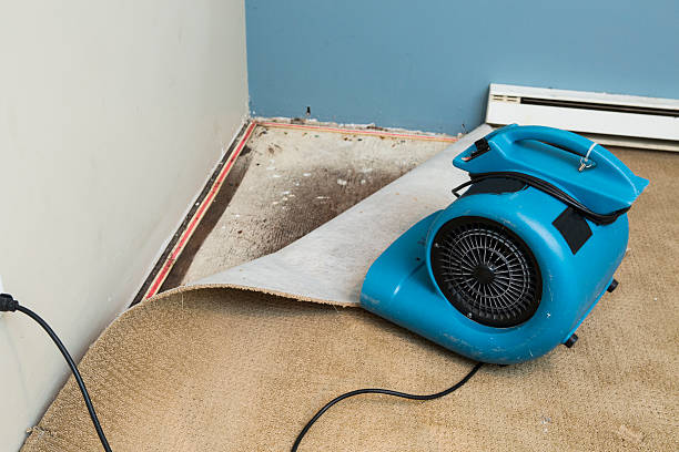 Best Water damage cleanup near me  in Mora, MN